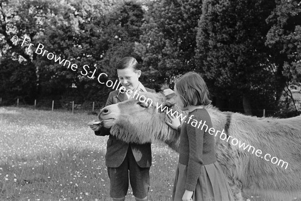 LINDEN NURSING HOME PLAYING WITH DONKEY